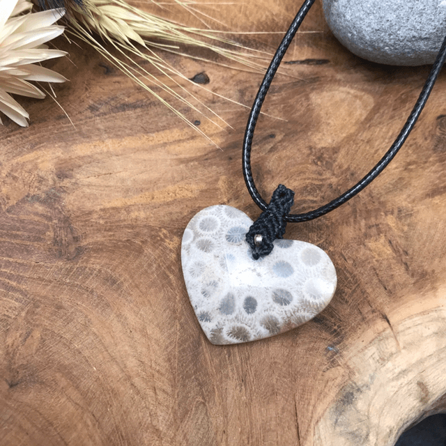 Corail fossilisé