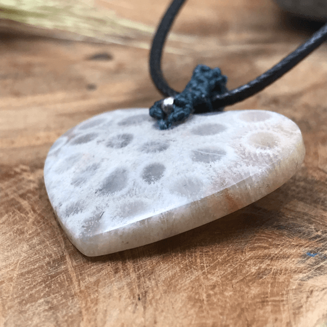Corail fossilisé