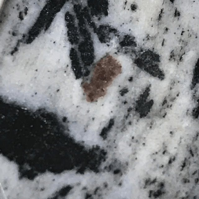 Biotite (avec inclusion de grenat)